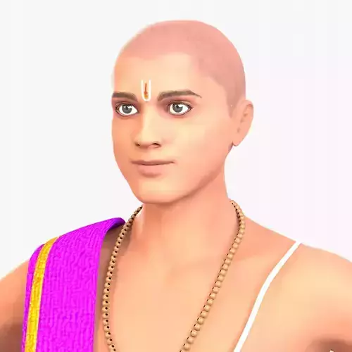3D model Brahman Indian Character 3D model