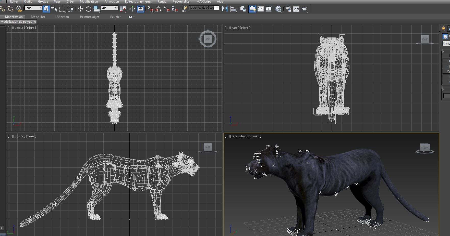 3d Wild Black Panther Rigged Model Low-poly 3D model_26