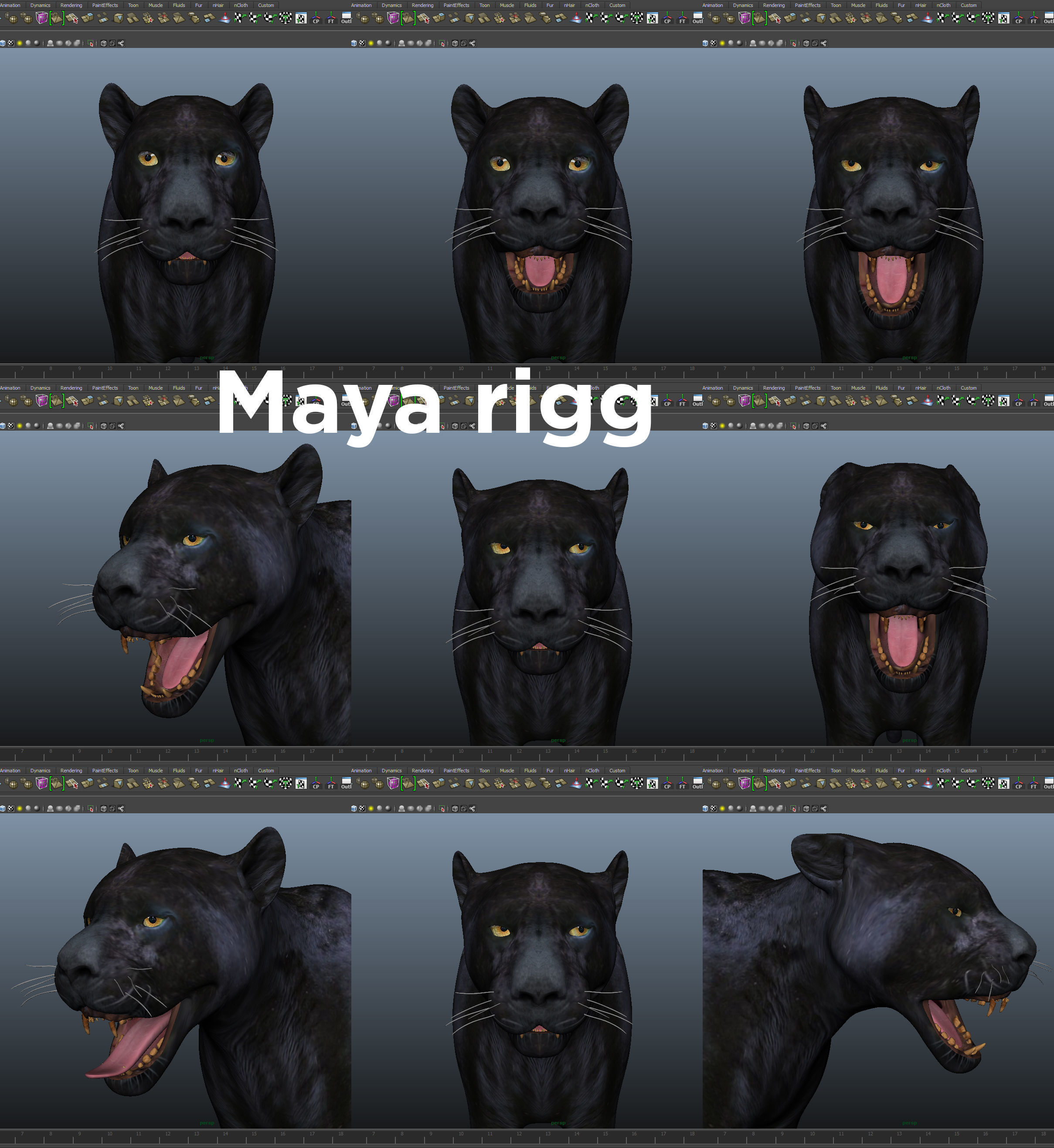 3d Wild Black Panther Rigged Model Low-poly 3D model_24