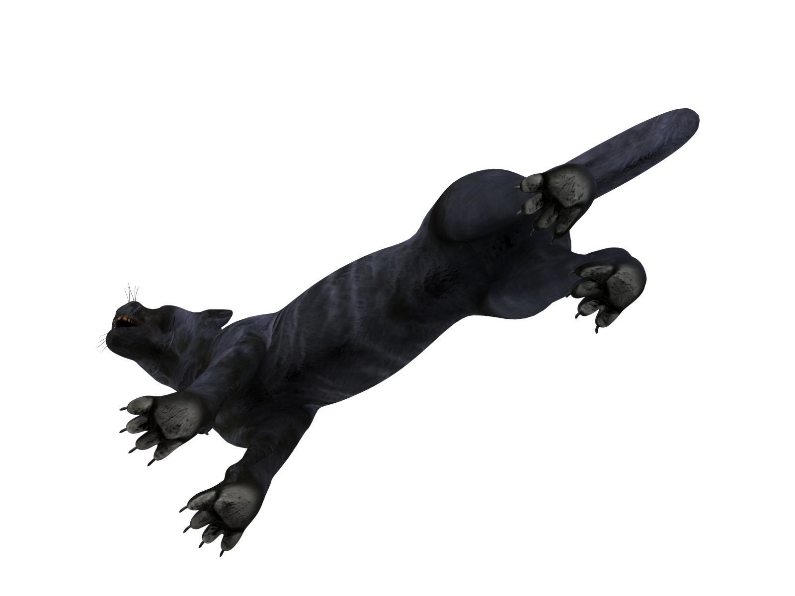 3d Wild Black Panther Rigged Model Low-poly 3D model_16