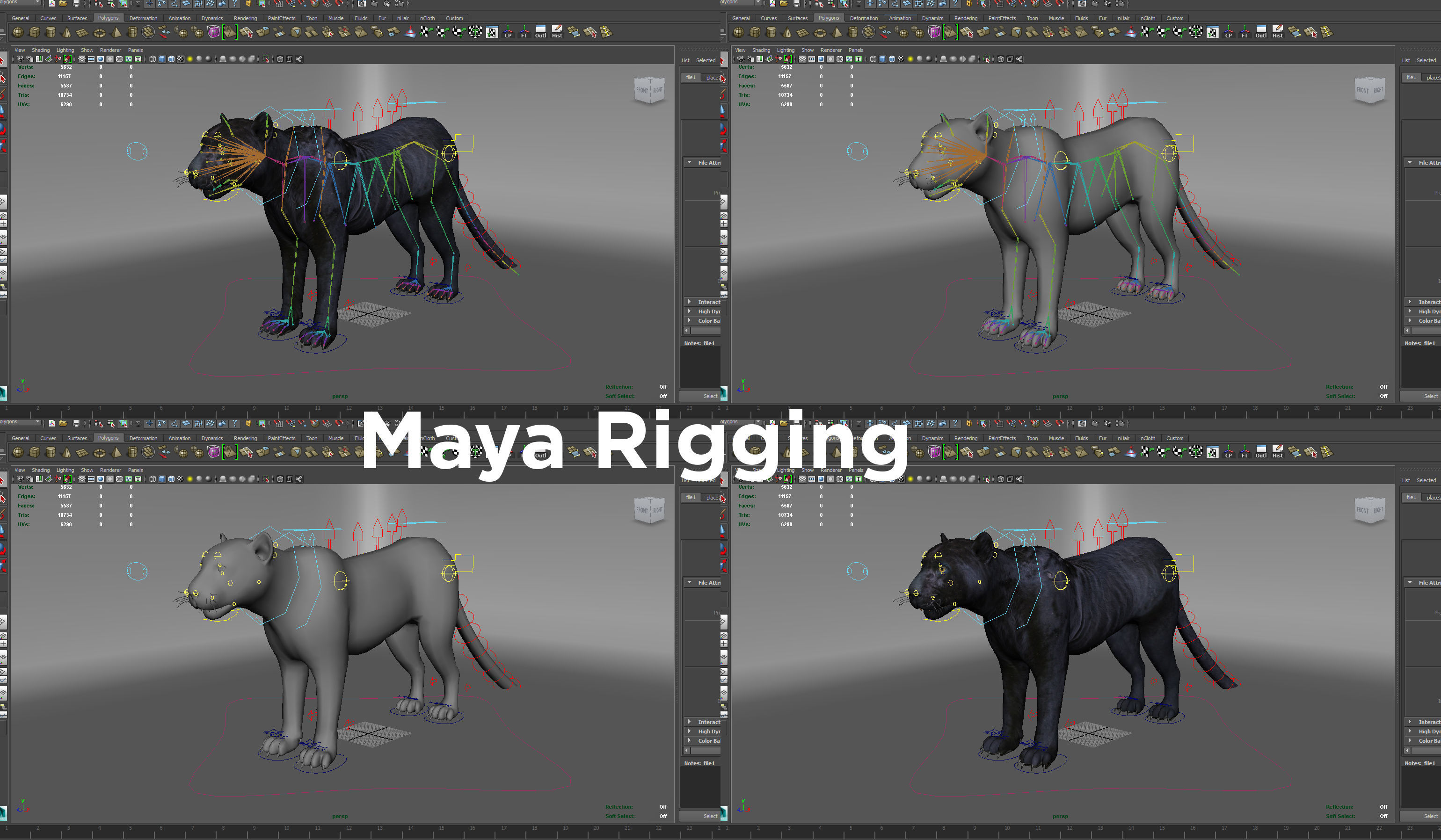 3d Wild Black Panther Rigged Model Low-poly 3D model_23