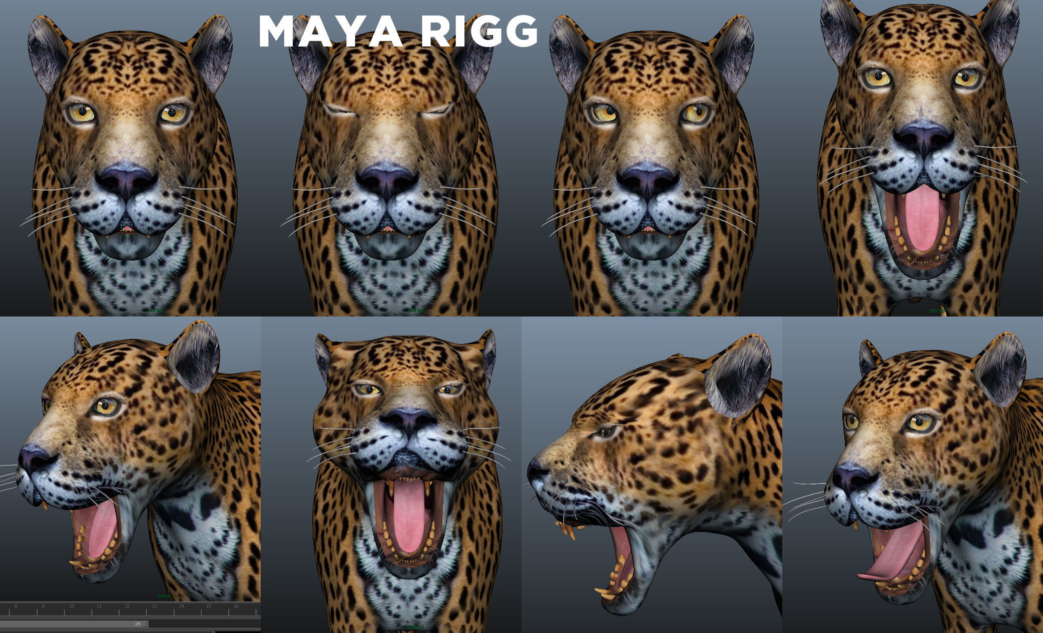 3D Leopard Rigged Model  Low-poly 3D model_21