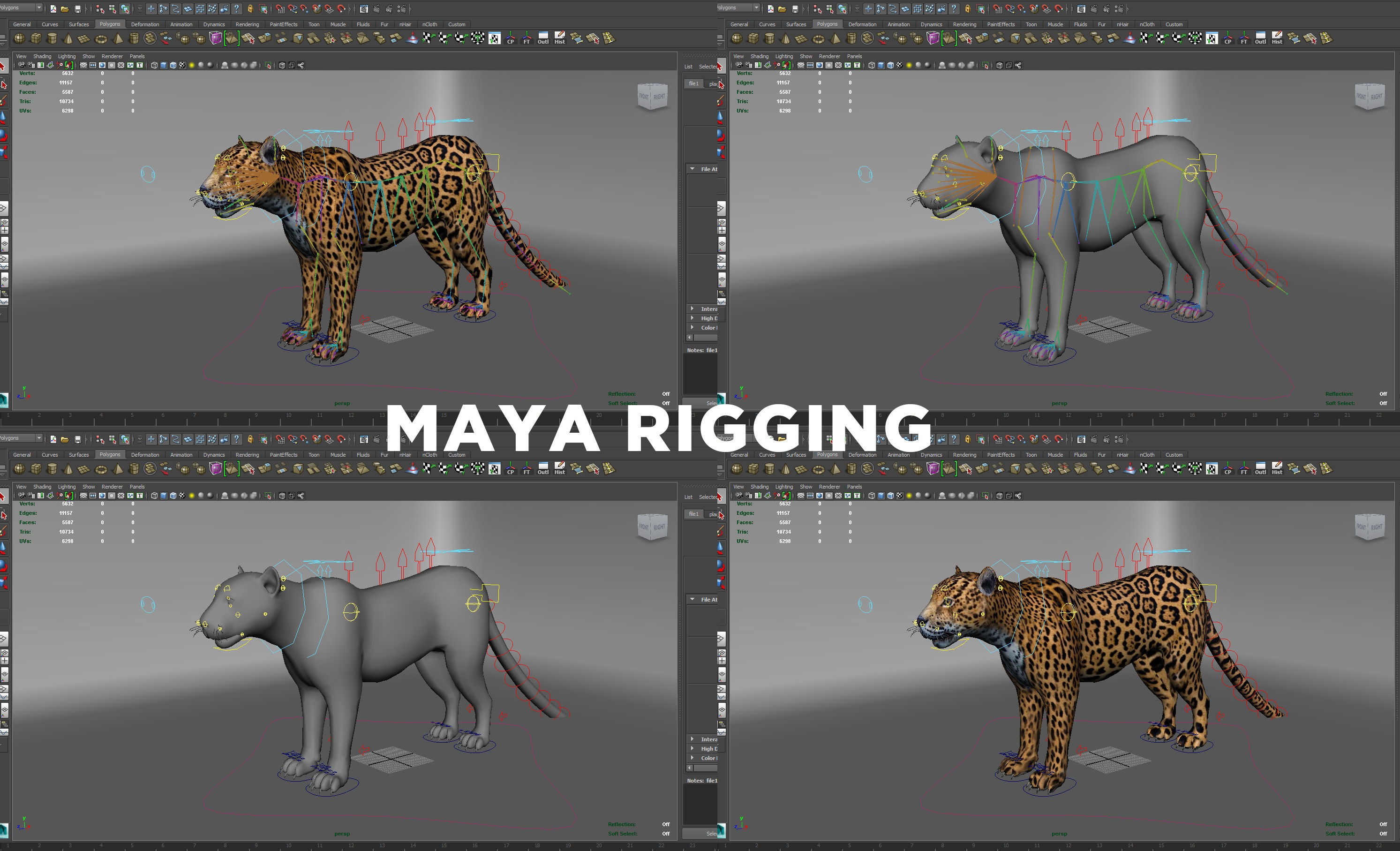 3D Leopard Rigged Model  Low-poly 3D model_20