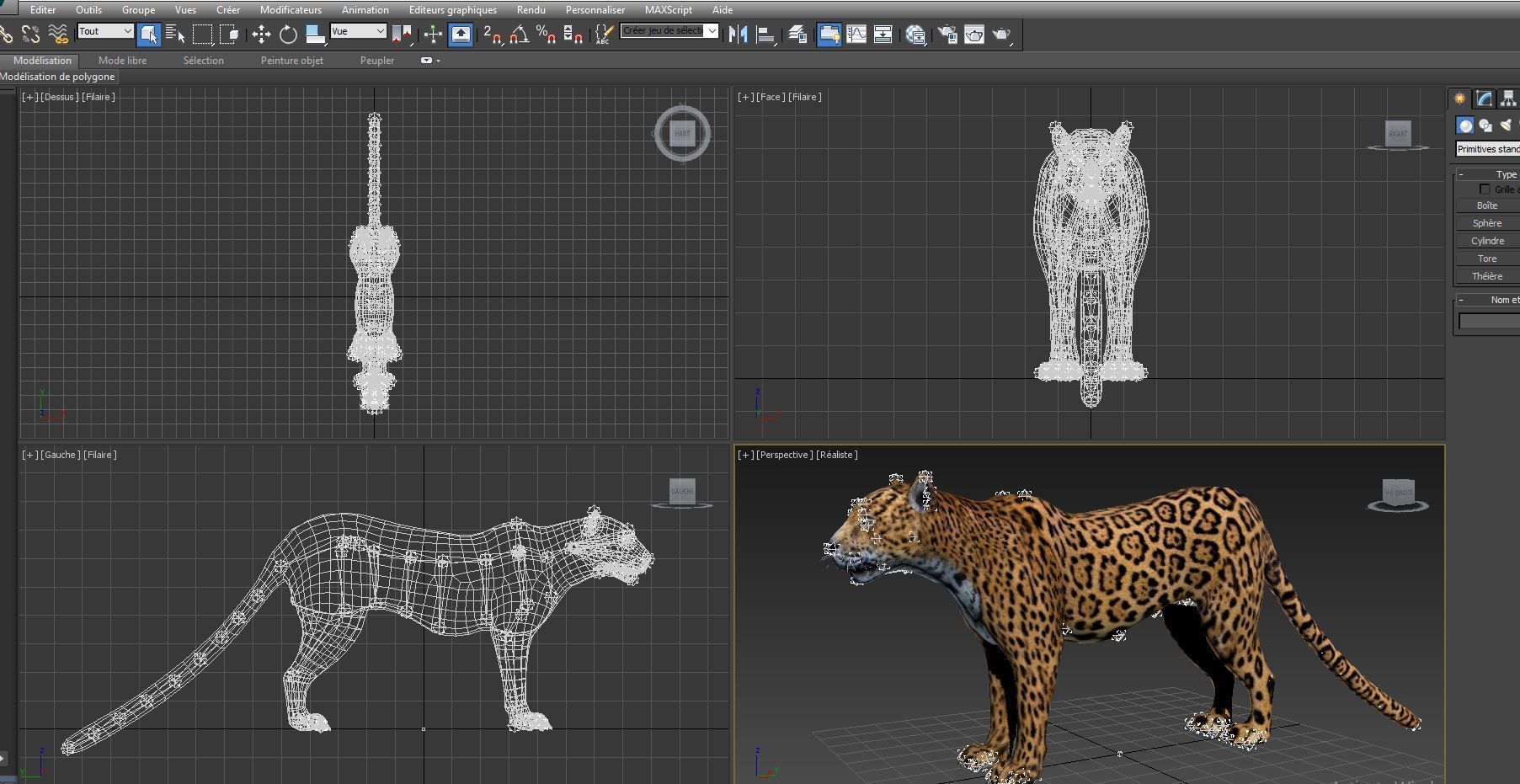 3D Leopard Rigged Model  Low-poly 3D model_19