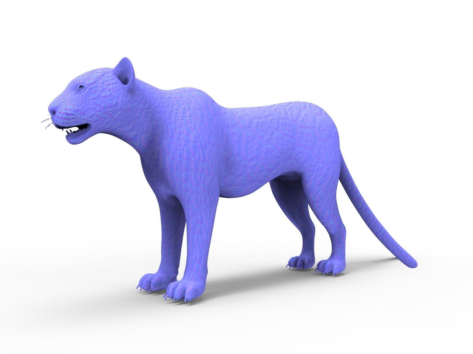 3D Leopard Rigged Model  Low-poly 3D model_25