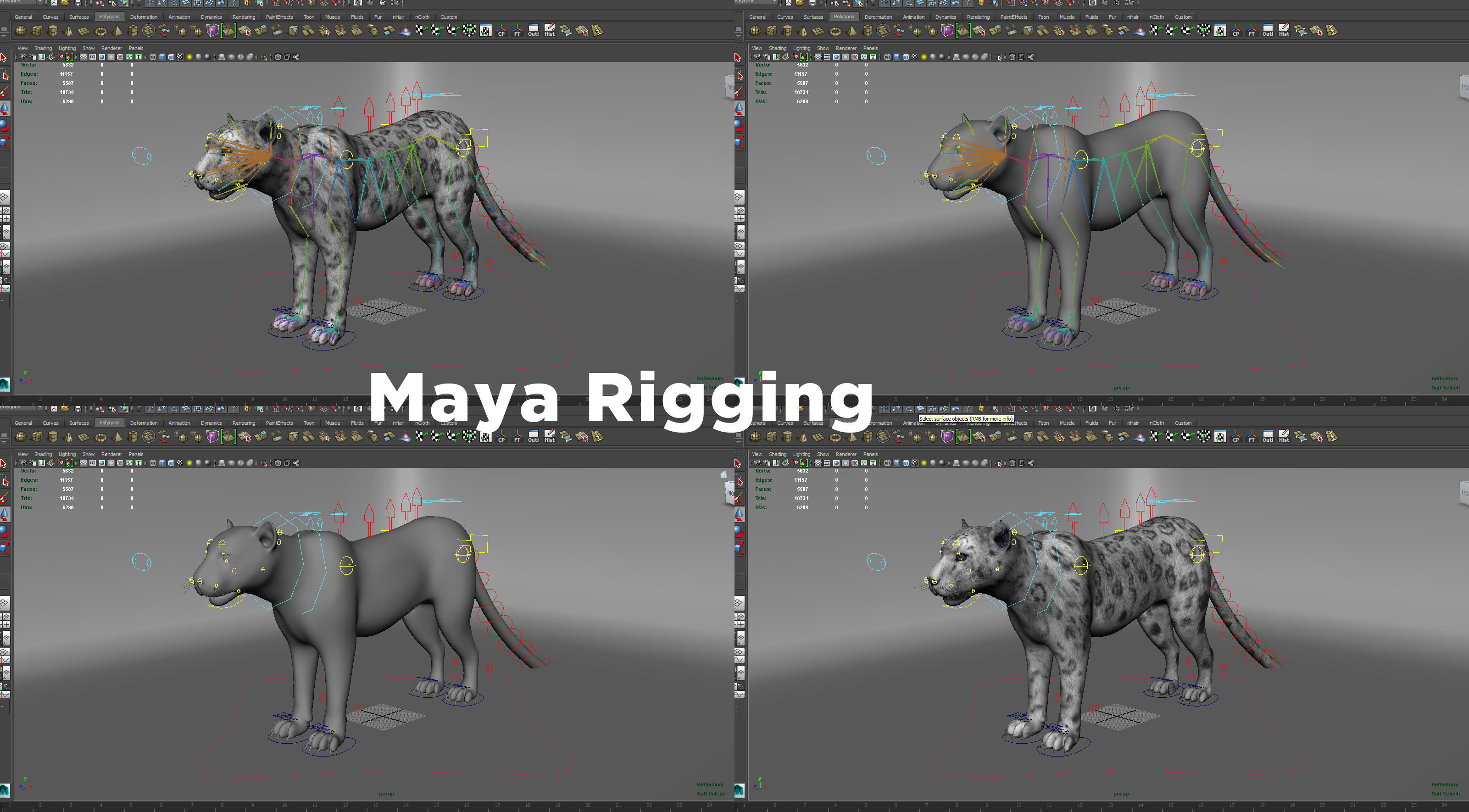 3D Snow leopard Rigged Model Low-poly 3D model_31