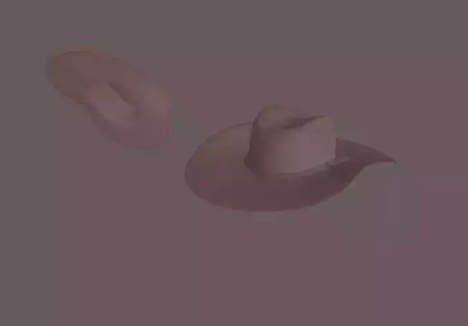 Cowboy Hat 3D model