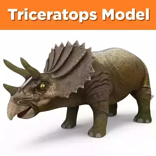 Realistic Triceratops Rigged  3D Model