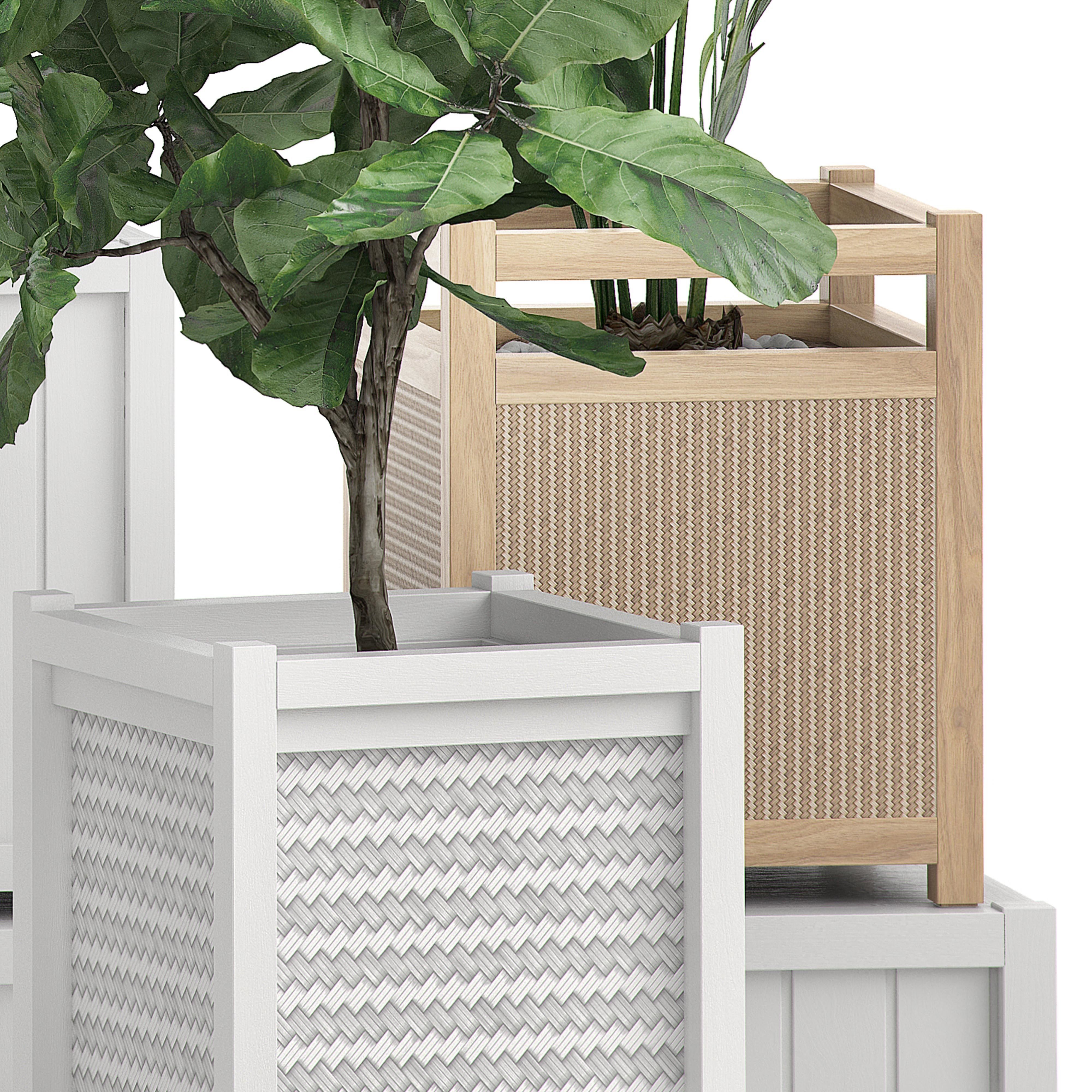 Flower Pack 116 3D model_3