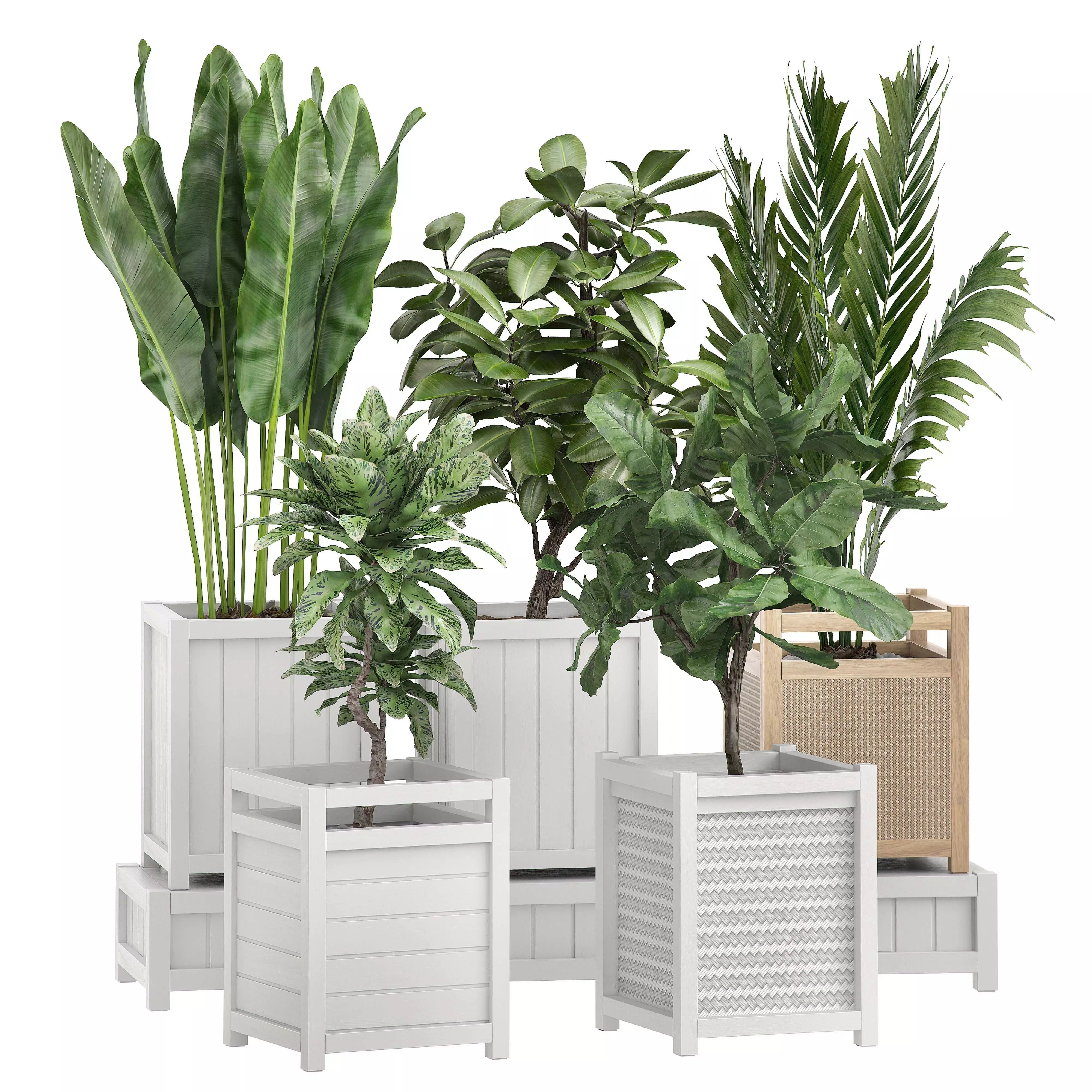 Flower Pack 116 3D model_0