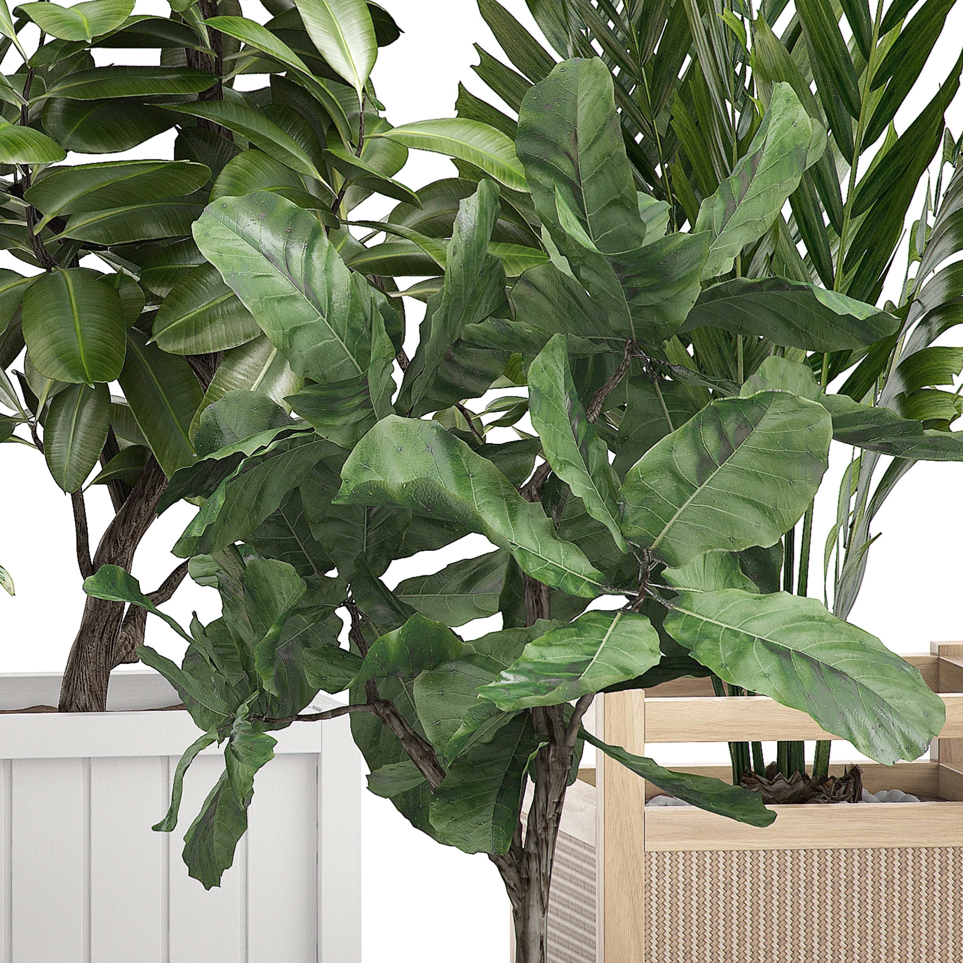 Flower Pack 116 3D model_2