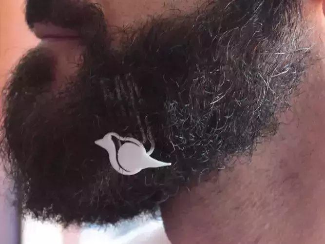 Robin for beard - lateral wearing 3D print model
