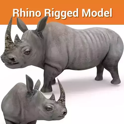 3D rhino rhinoceros realistic Rigged low poly 