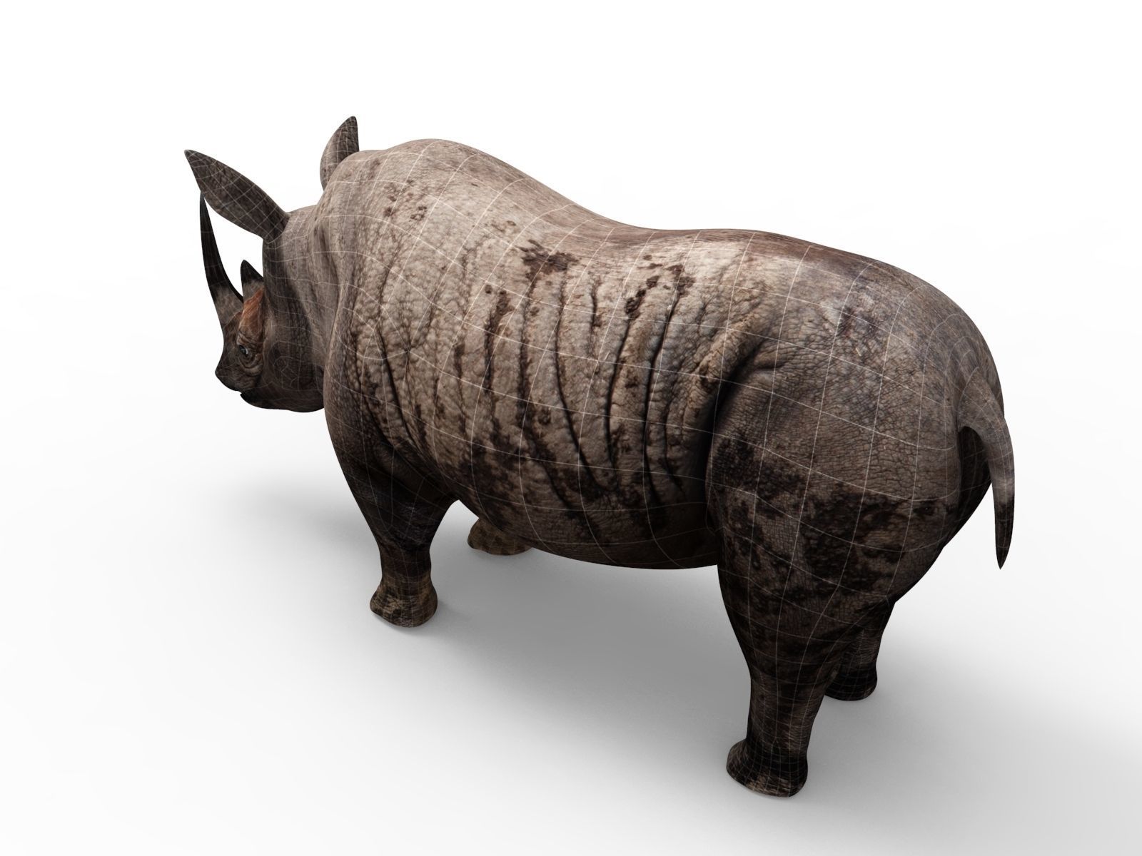 Dirty  Rhino 3D Models Rigged  game ready Low-poly 3D model_16