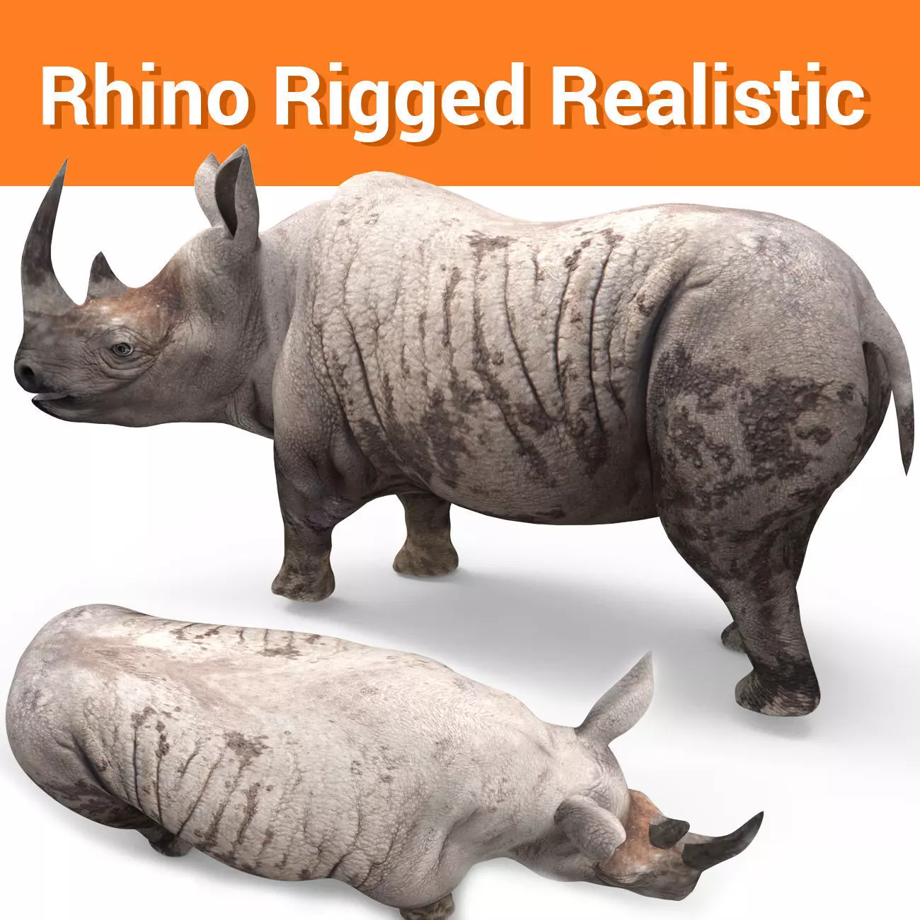 Dirty  Rhino 3D Models Rigged  game ready Low-poly 3D model_0