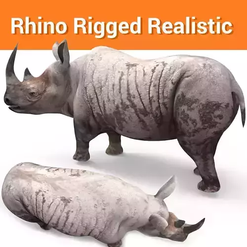 Dirty  Rhino 3D Models Rigged  game ready