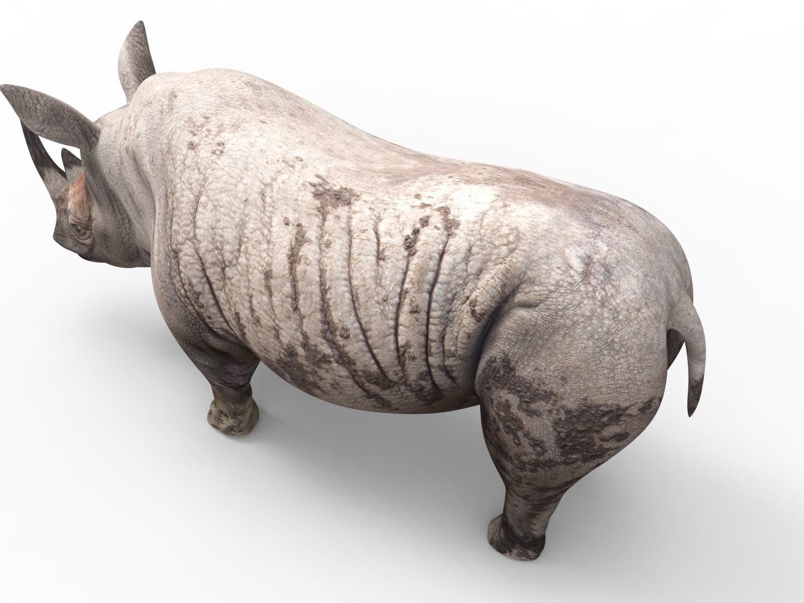 Dirty  Rhino 3D Models Rigged  game ready Low-poly 3D model_7