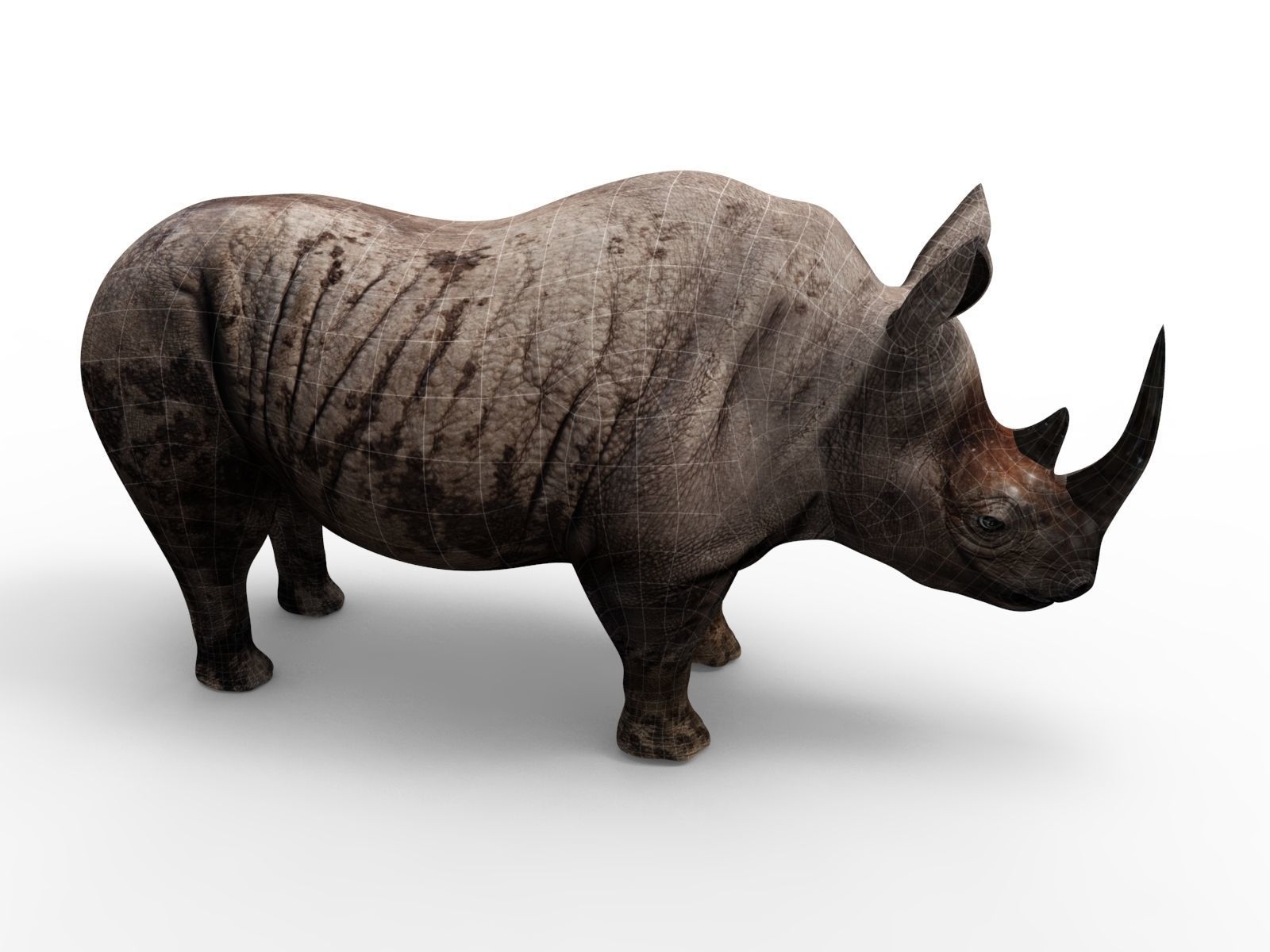 Dirty  Rhino 3D Models Rigged  game ready Low-poly 3D model_15