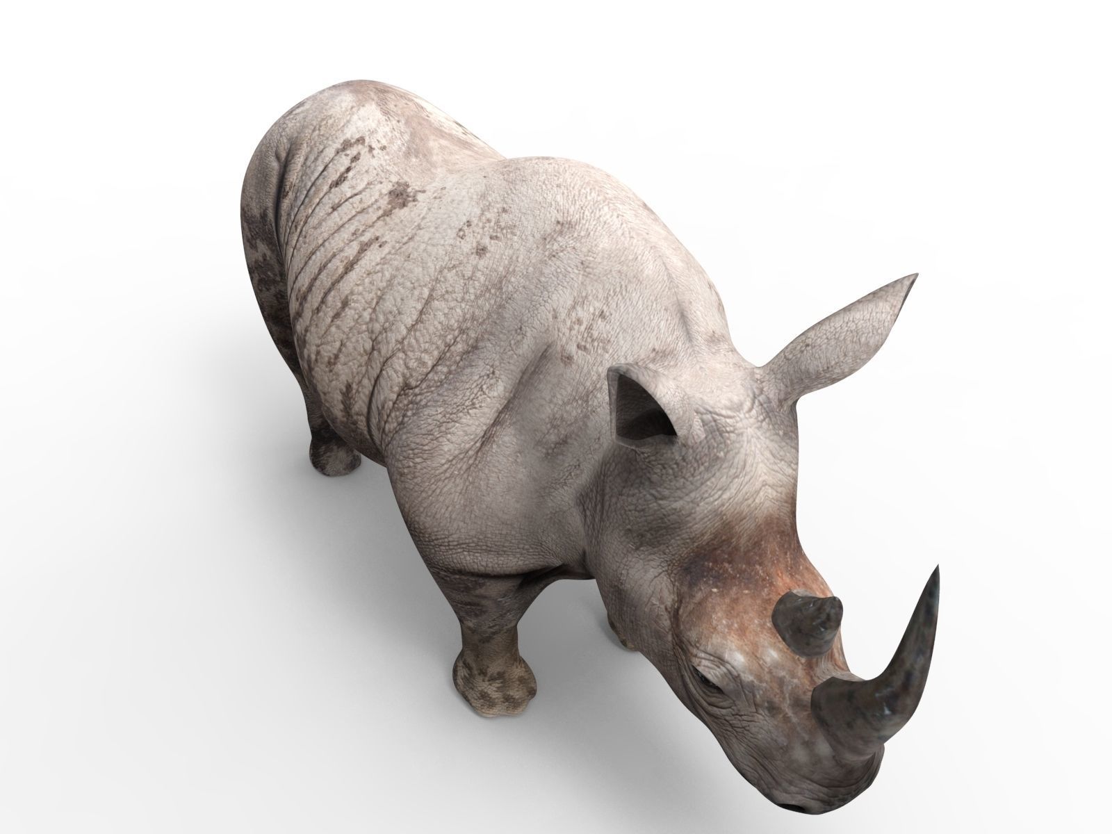 Dirty  Rhino 3D Models Rigged  game ready Low-poly 3D model_5