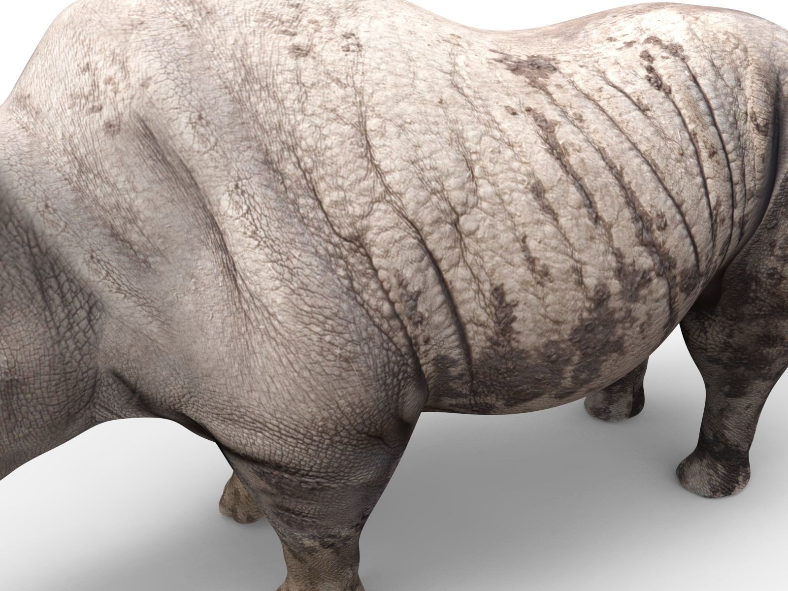 Dirty  Rhino 3D Models Rigged  game ready Low-poly 3D model_10