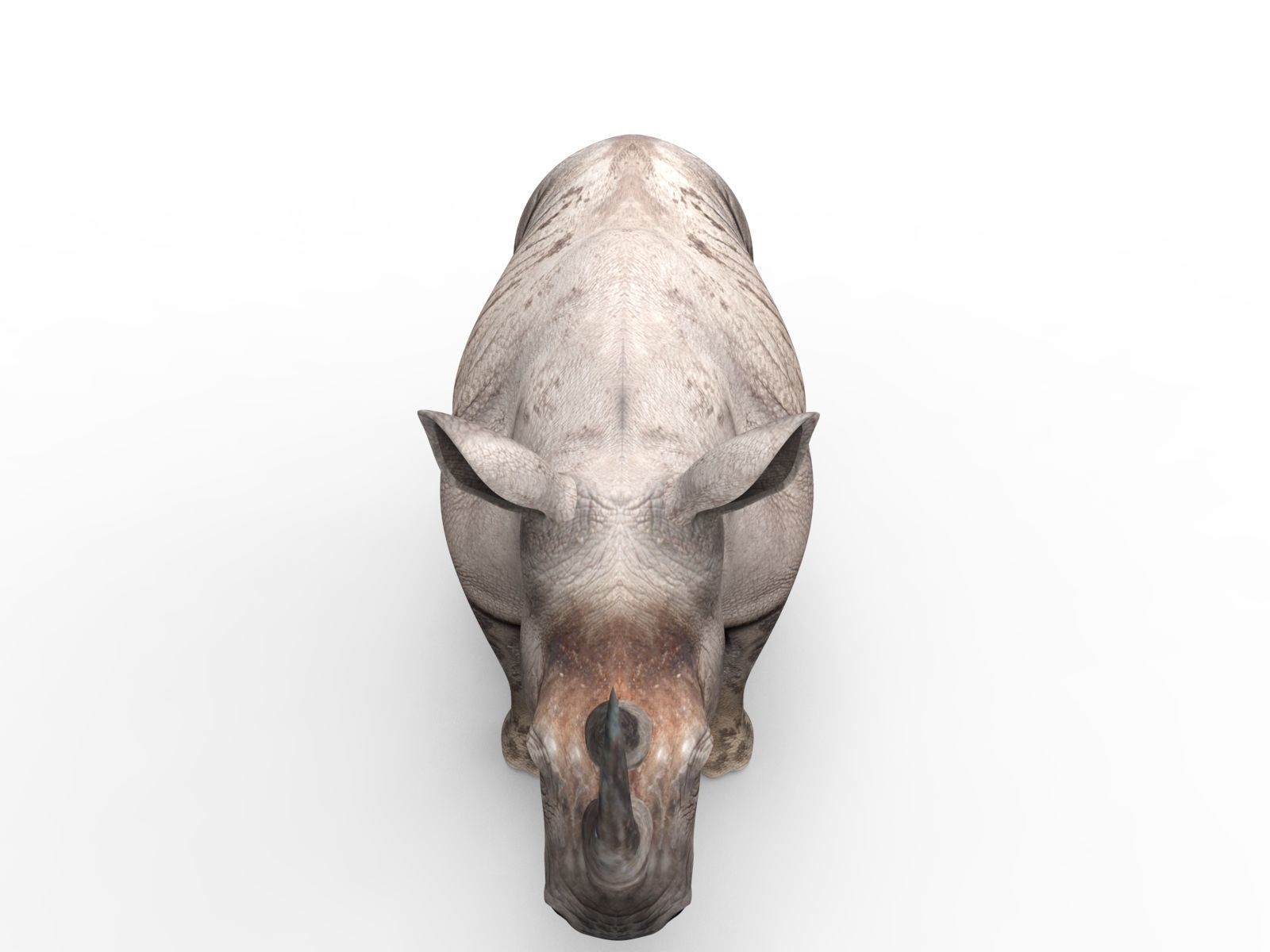 Dirty  Rhino 3D Models Rigged  game ready Low-poly 3D model_11