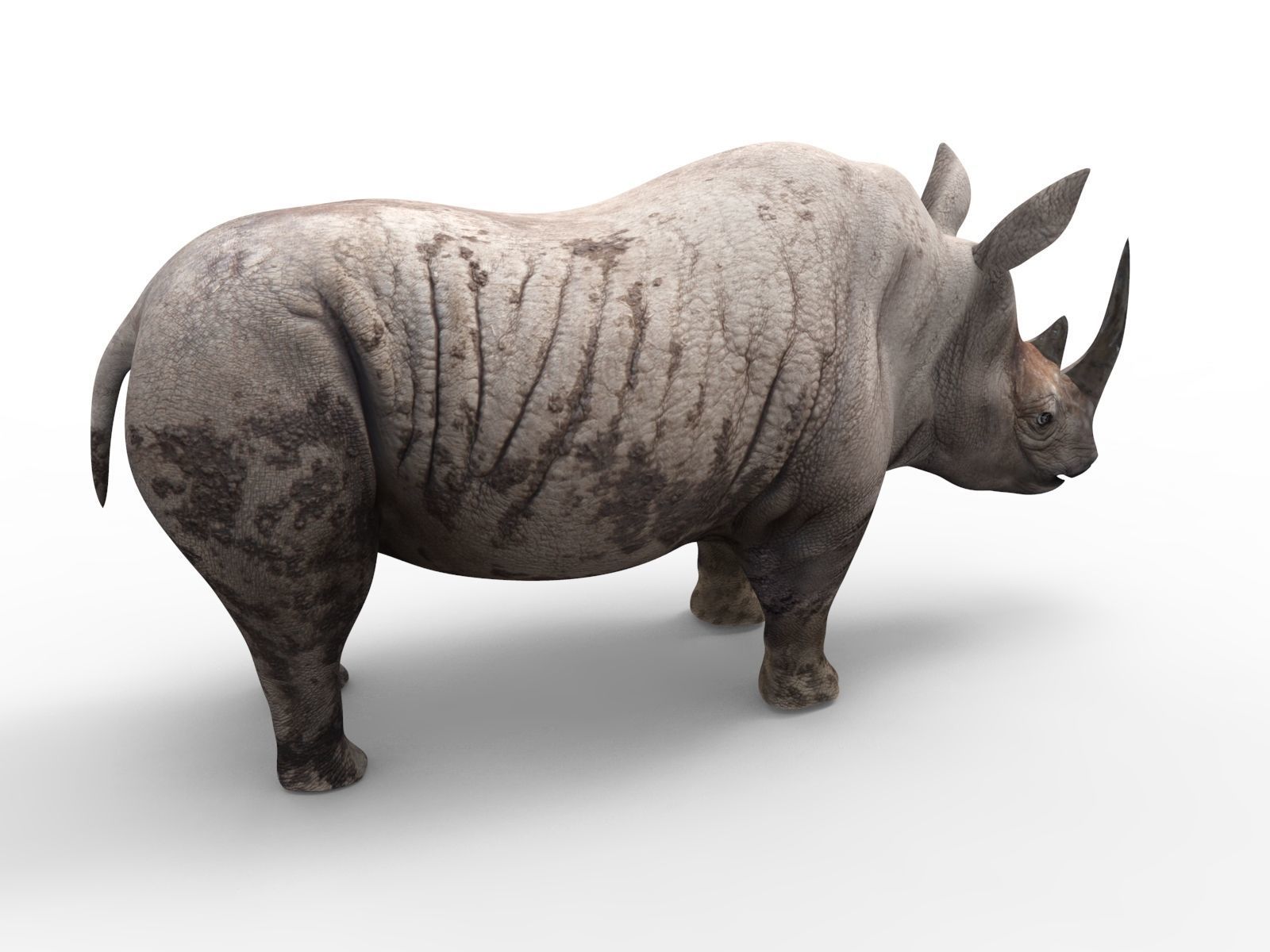 Dirty  Rhino 3D Models Rigged  game ready Low-poly 3D model_6