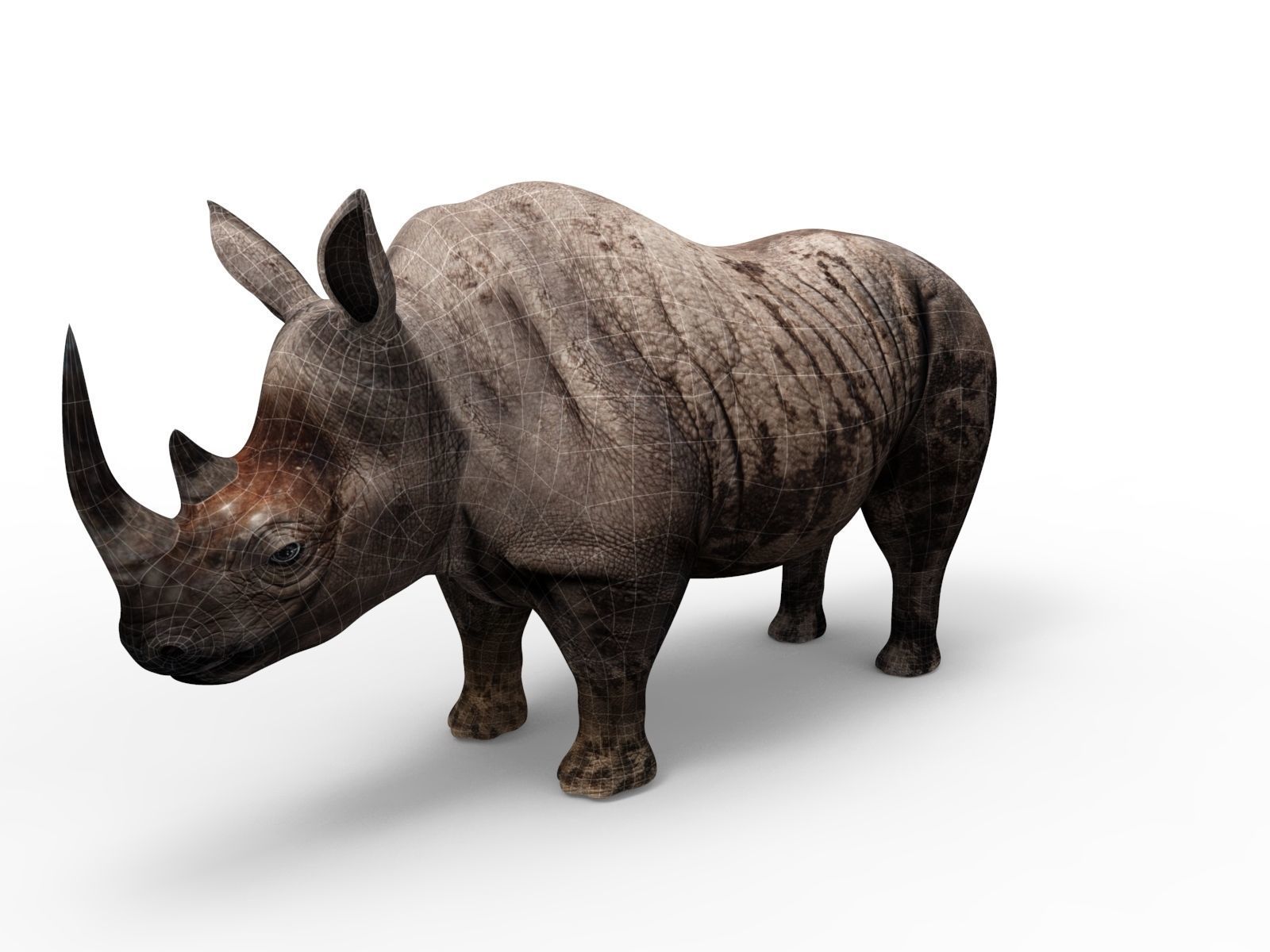 Dirty  Rhino 3D Models Rigged  game ready Low-poly 3D model_14