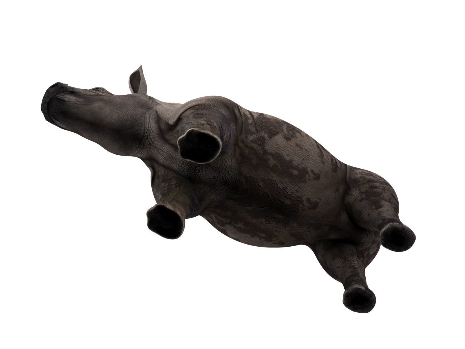Dirty  Rhino 3D Models Rigged  game ready Low-poly 3D model_9