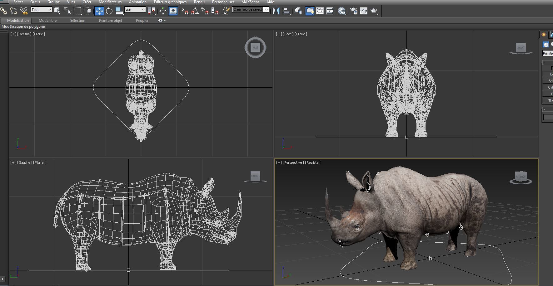 Dirty  Rhino 3D Models Rigged  game ready Low-poly 3D model_23