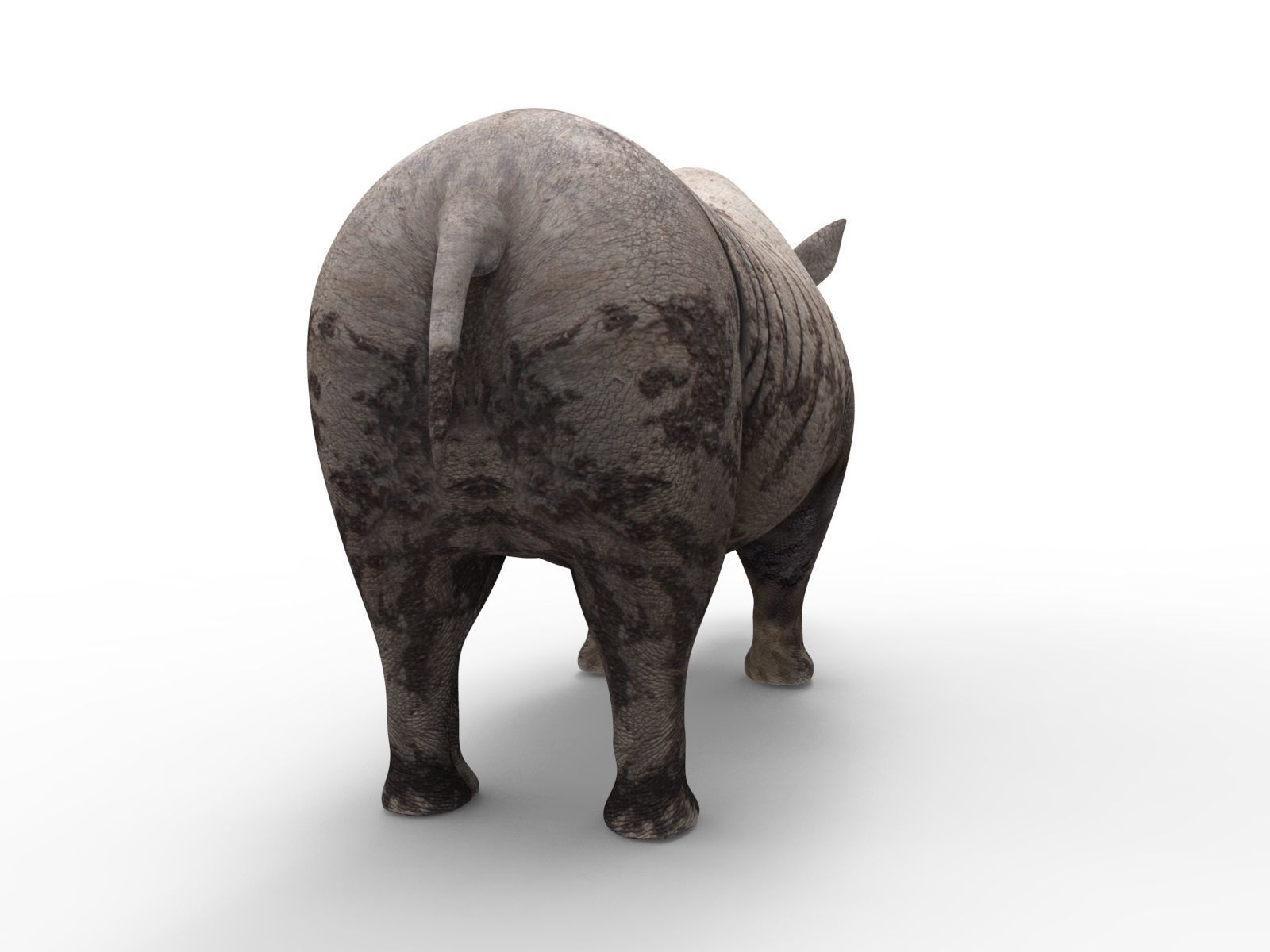 Dirty  Rhino 3D Models Rigged  game ready Low-poly 3D model_3