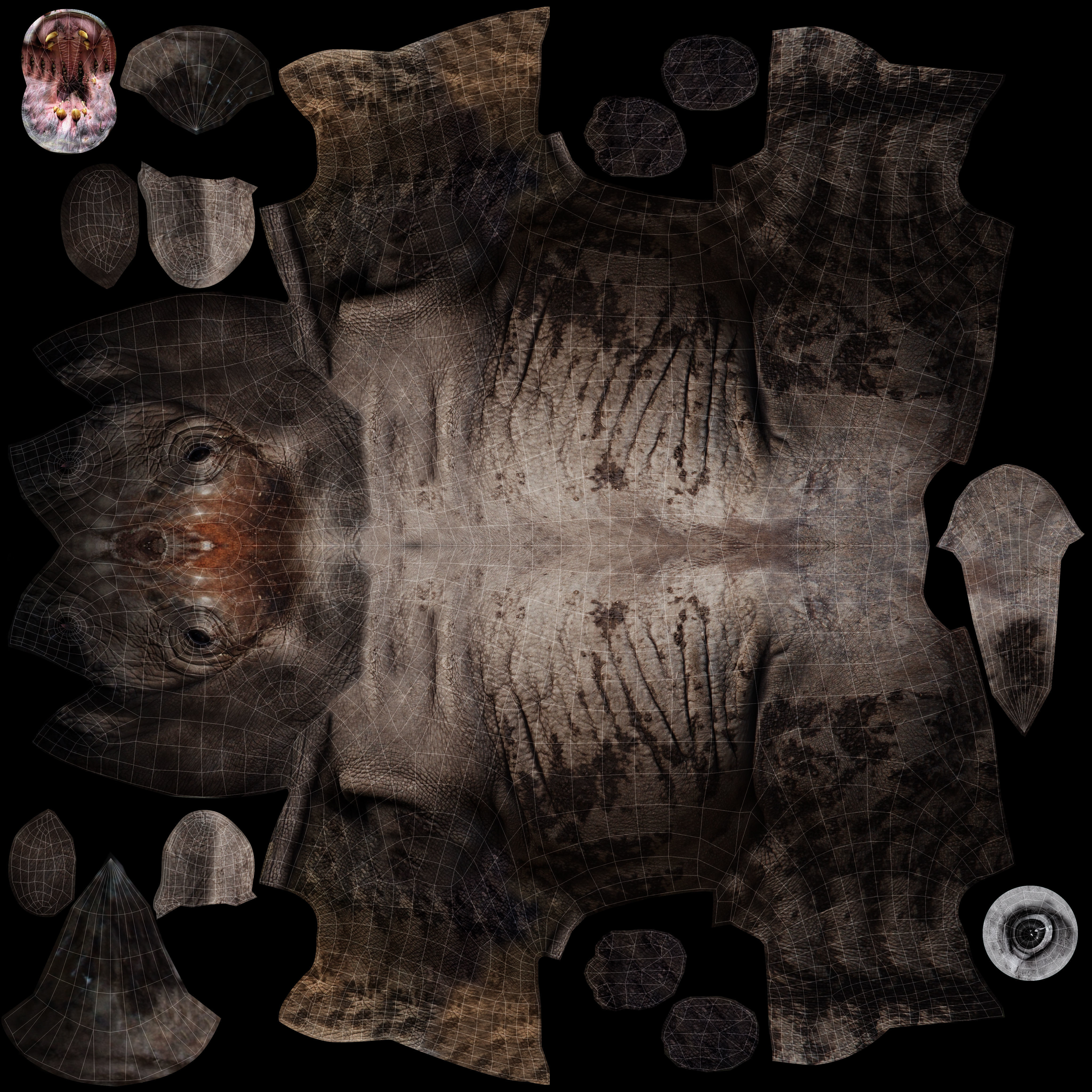 Dirty  Rhino 3D Models Rigged  game ready Low-poly 3D model_25