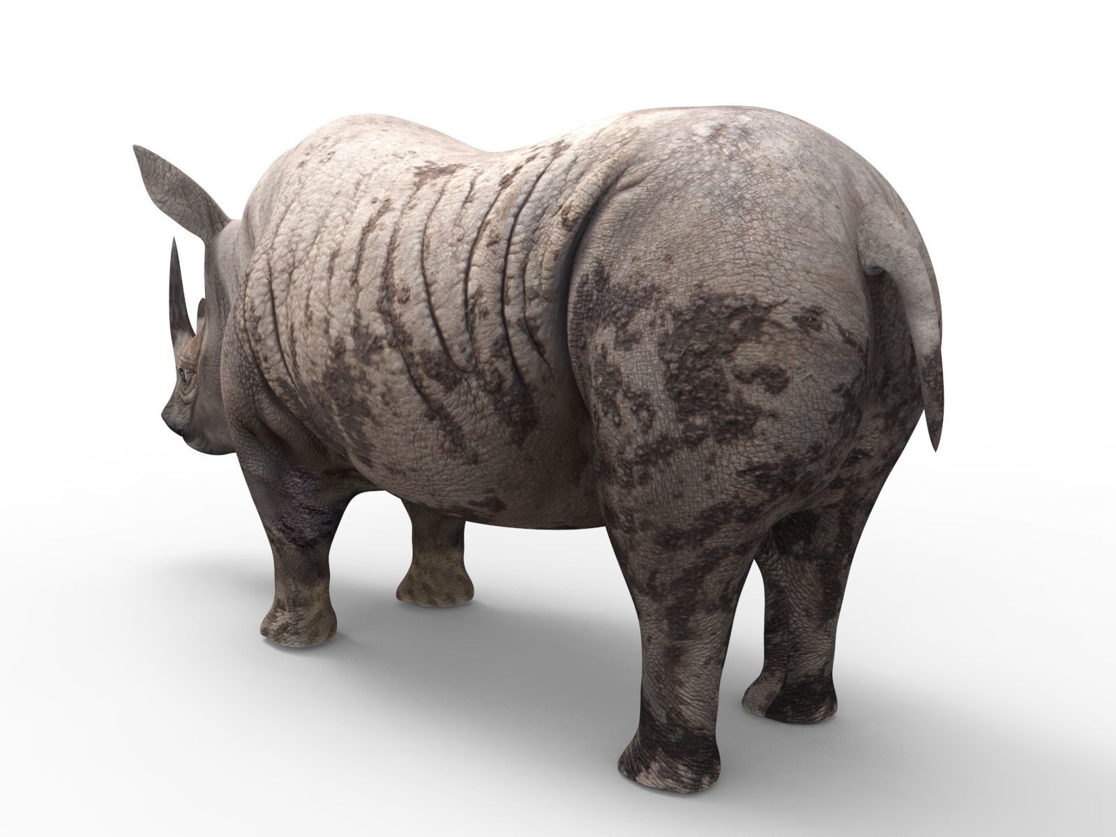 Dirty  Rhino 3D Models Rigged  game ready Low-poly 3D model_4