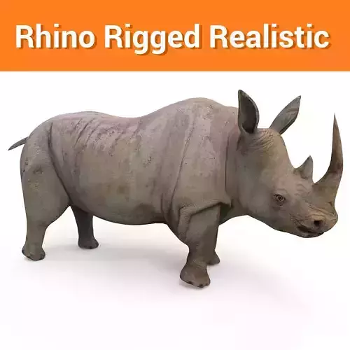 Wild 3d Rhino Rigged Model