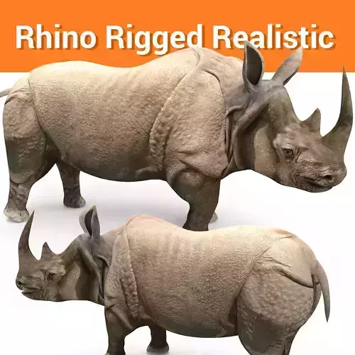 3D rhino rhinoceros Rigged realistic low poly  Low-poly 3D model