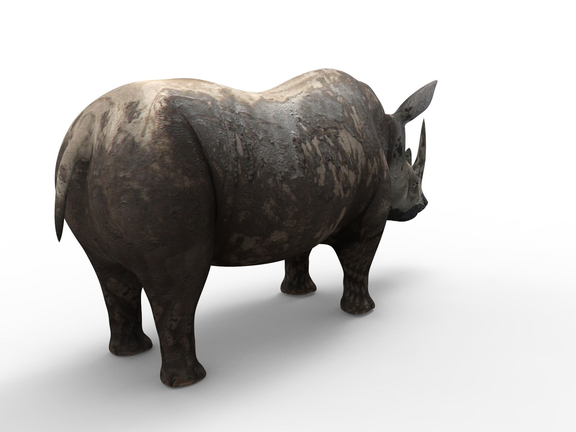 3D Dirty Rhino Model Rigged  game ready  Low-poly 3D model_7