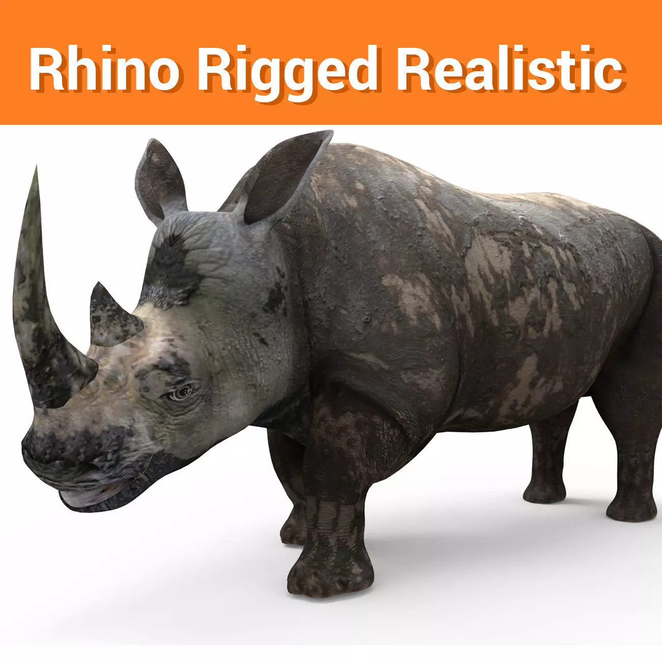 3D Dirty Rhino Model Rigged  game ready  Low-poly 3D model_0