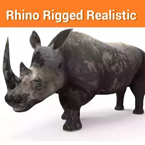 3D Dirty Rhino Model Rigged  game ready 
