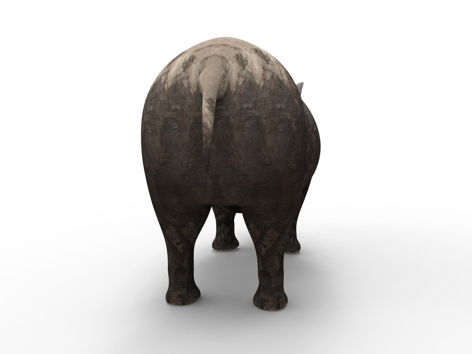 3D Dirty Rhino Model Rigged  game ready  Low-poly 3D model_9