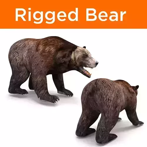 Bear Rigged 3D Models game ready low poly model