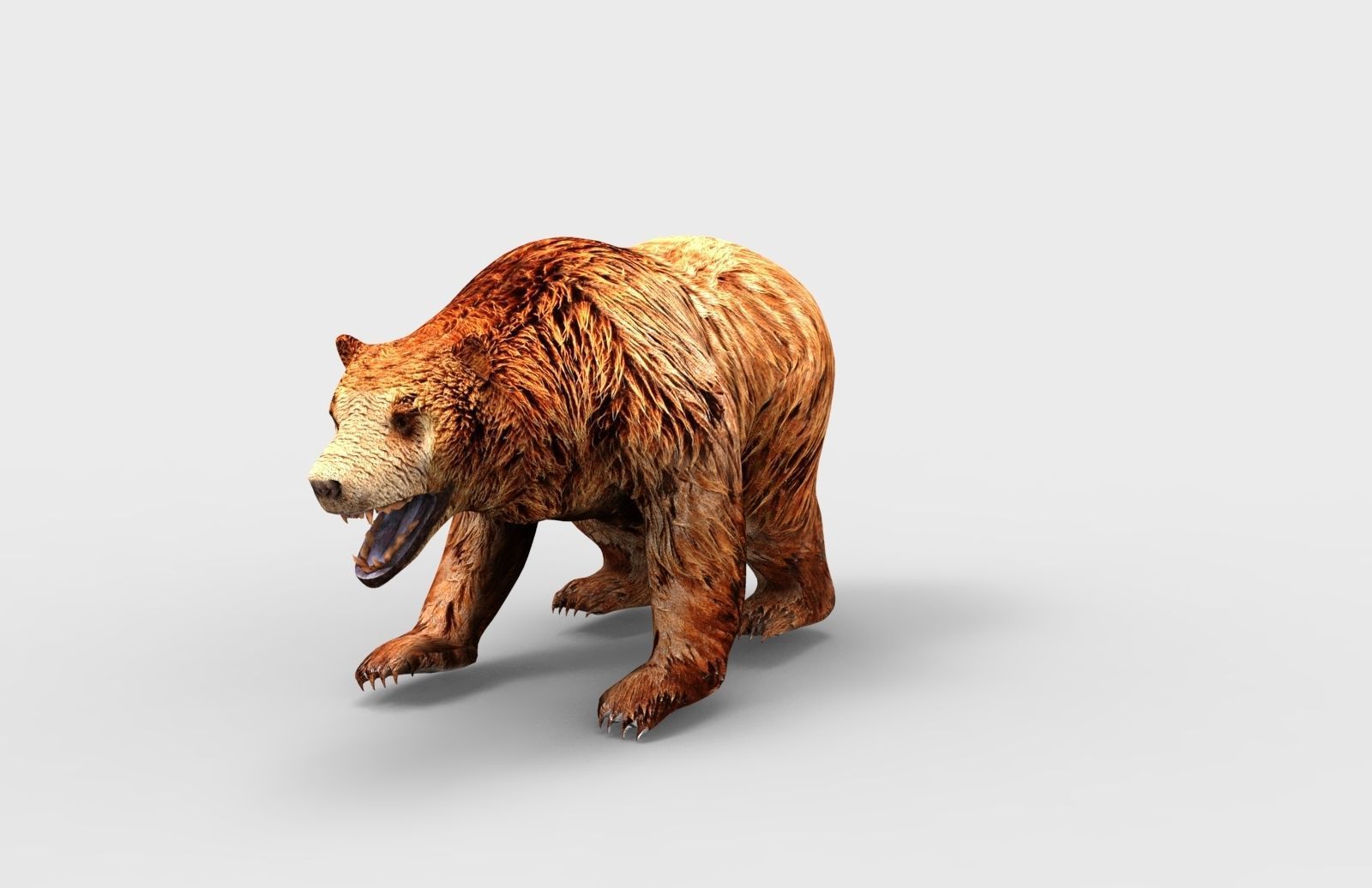 Red Bear Rigged 3D Models game Low-poly 3D model_11