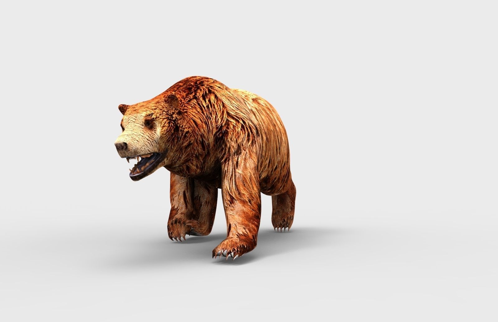 Red Bear Rigged 3D Models game Low-poly 3D model_16