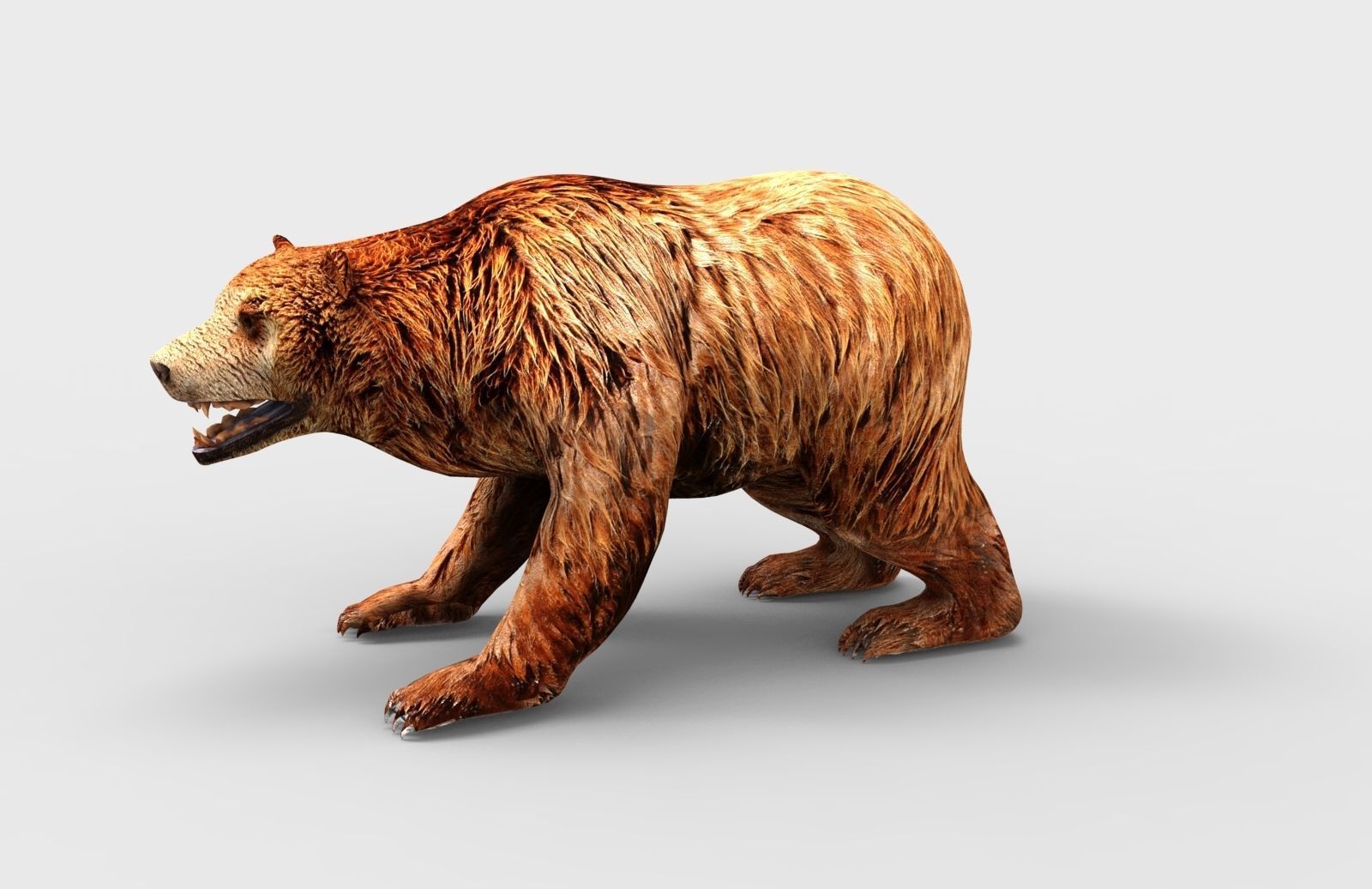 Red Bear Rigged 3D Models game Low-poly 3D model_4