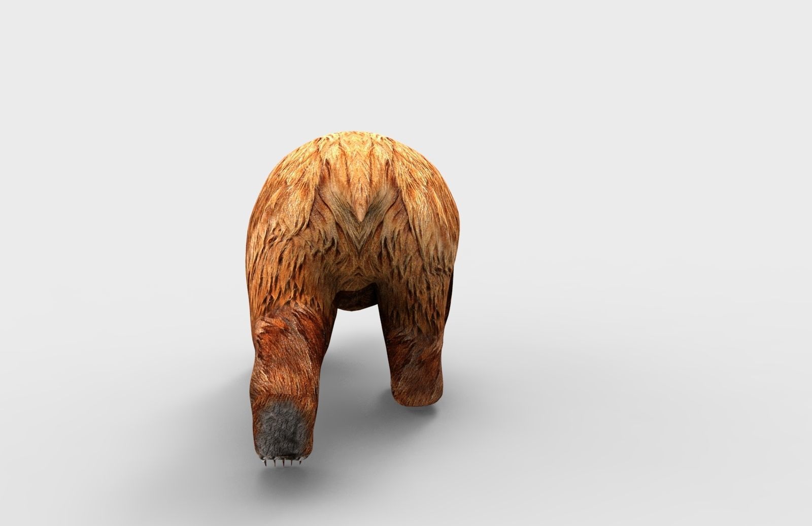 Red Bear Rigged 3D Models game Low-poly 3D model_14