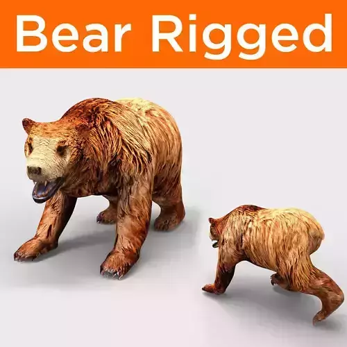 Red Bear Rigged 3D Models game Low-poly 3D model