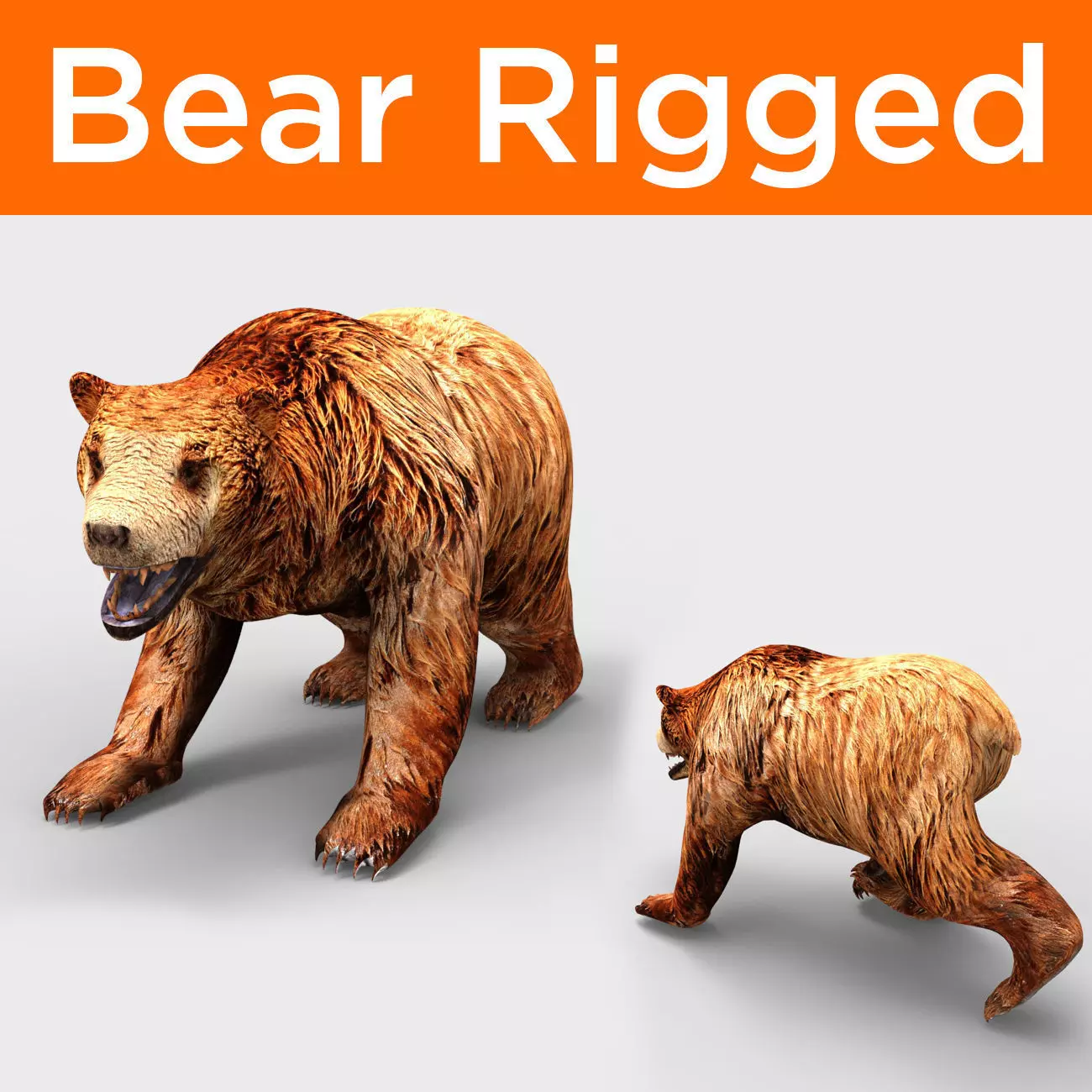 Red Bear Rigged 3D Models game Low-poly 3D model_0