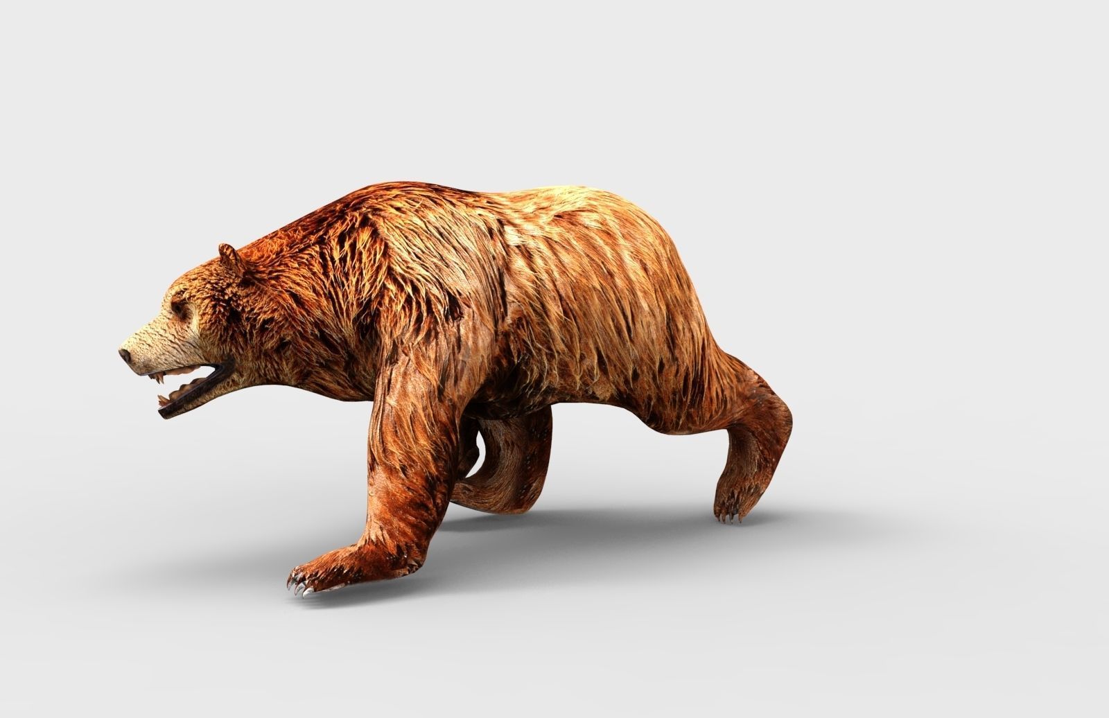 Red Bear Rigged 3D Models game Low-poly 3D model_12