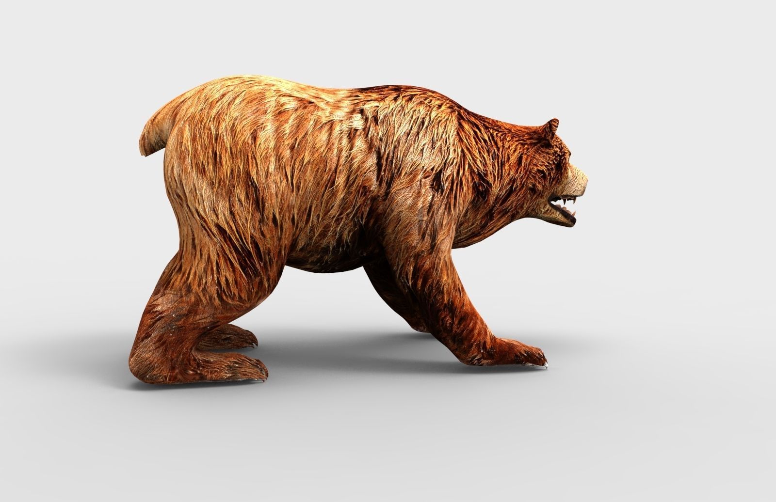 Red Bear Rigged 3D Models game Low-poly 3D model_9