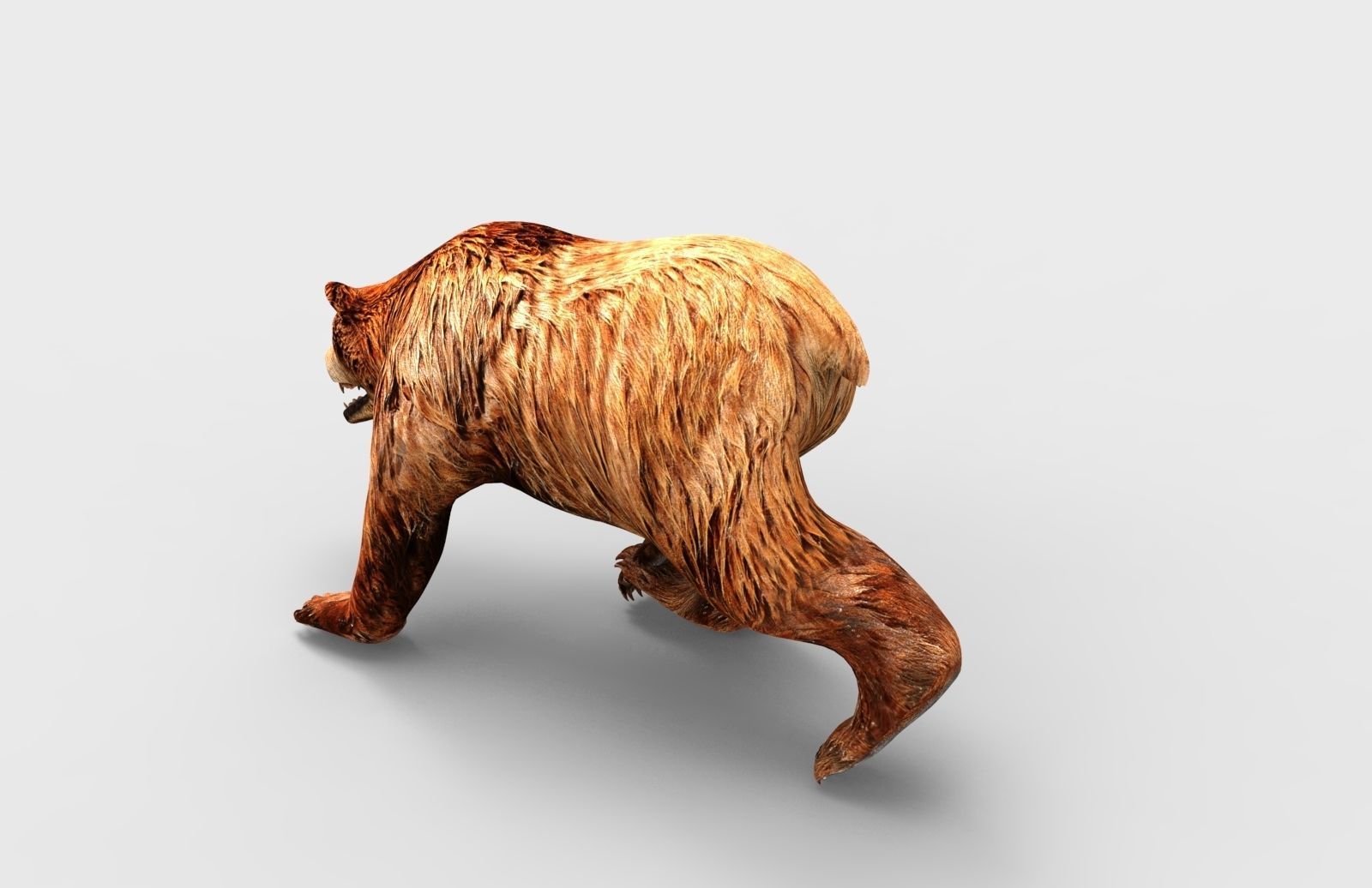 Red Bear Rigged 3D Models game Low-poly 3D model_13