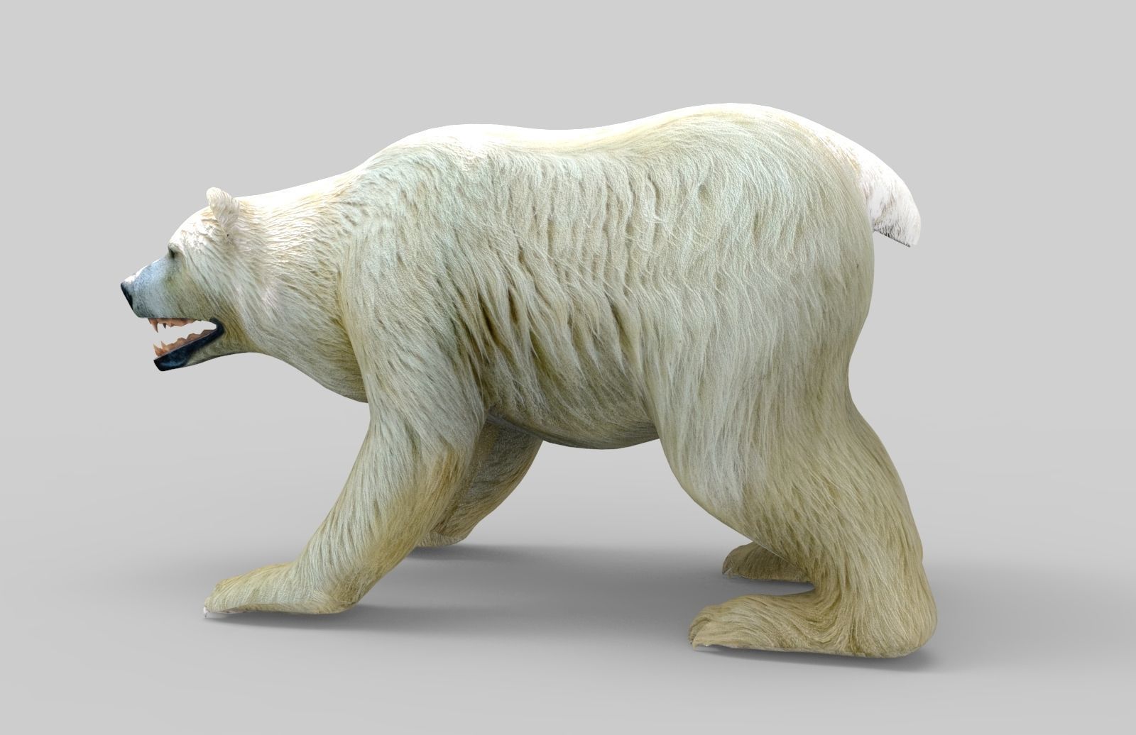 3D White Beer Rigged Model Low-poly 3D model_10