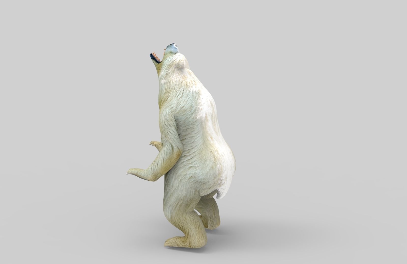3D White Beer Rigged Model Low-poly 3D model_2